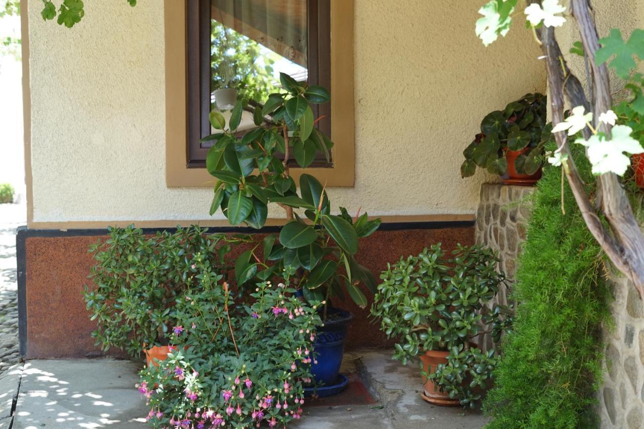Casa Ciortea Ana Sibiel Extérieur photo