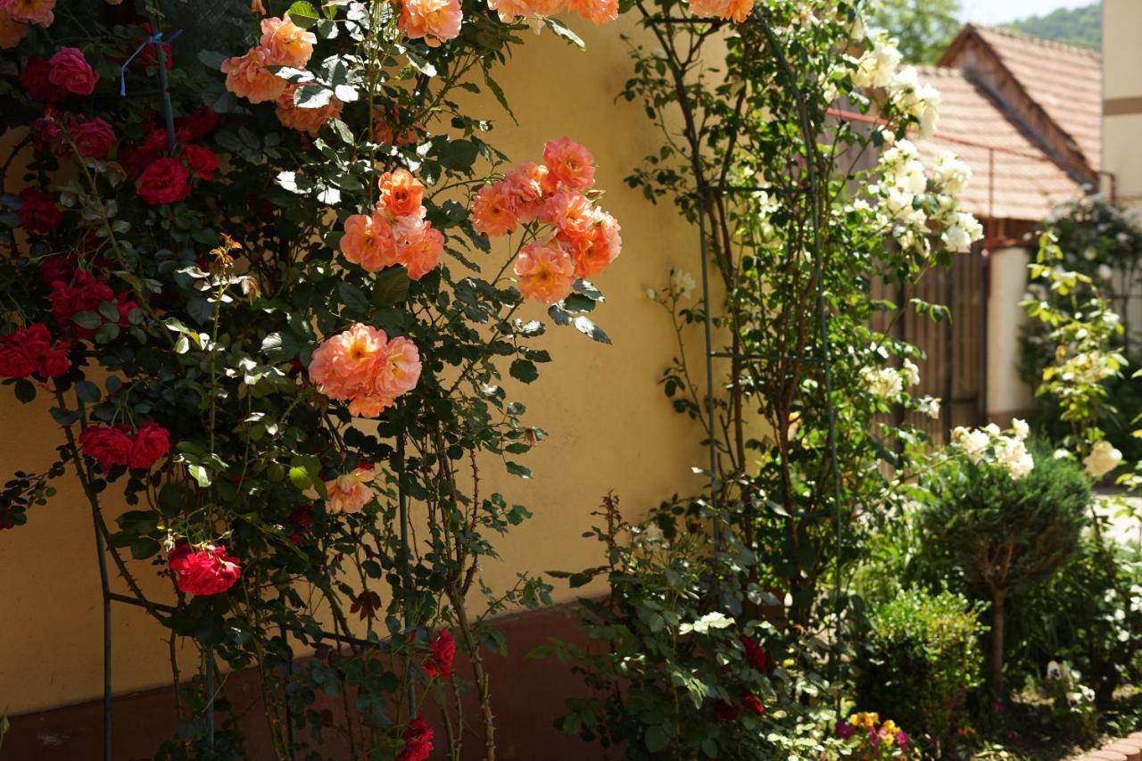 Casa Ciortea Ana Sibiel Extérieur photo
