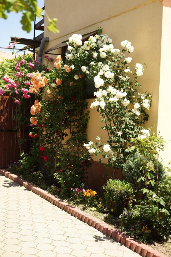 Casa Ciortea Ana Sibiel Extérieur photo